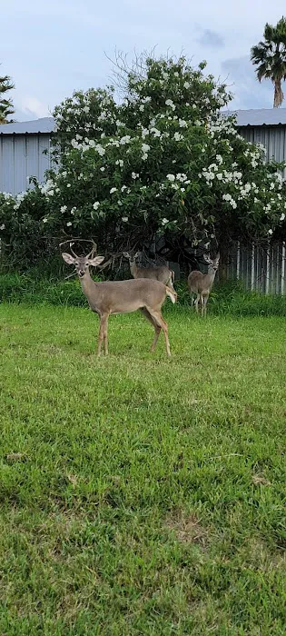 Bayview RV Park Picture 9