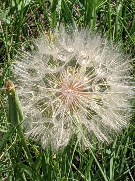 Highland Mobile Home Park Picture 9