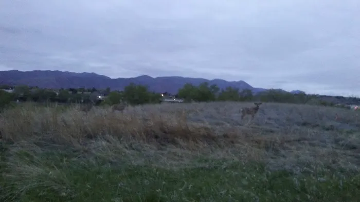 Emerald Acres Mobile Home Park Picture 3