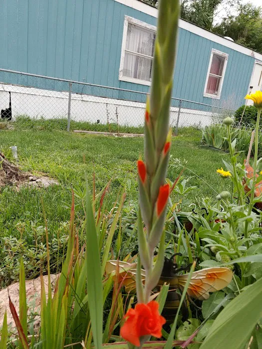 Shangri-La Mobile Home Park, LLC Picture 6