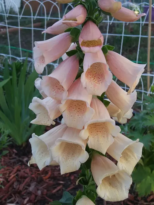 Shangri-La Mobile Home Park, LLC Picture 8