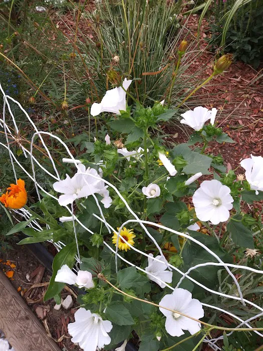 Shangri-La Mobile Home Park, LLC Picture 5