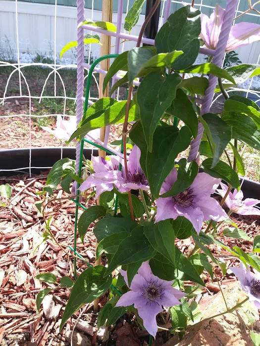 Shangri-La Mobile Home Park, LLC Picture 4