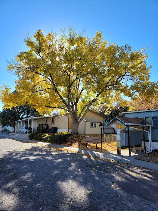 Holiday Village - Colorado Picture 4