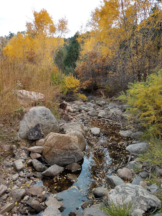 Sunview RV Park Picture 6