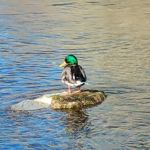 Terra Estates Manufactured Home Community