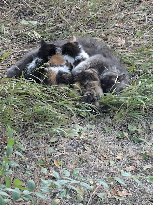 Brookdale Estates Picture 9