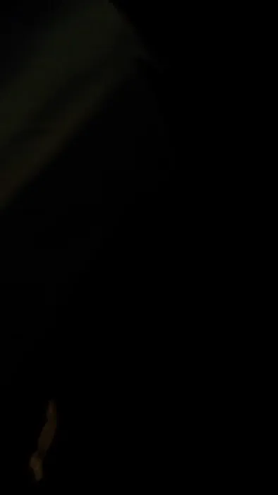 Williamsburg Estates Mobile Home Park Picture 3