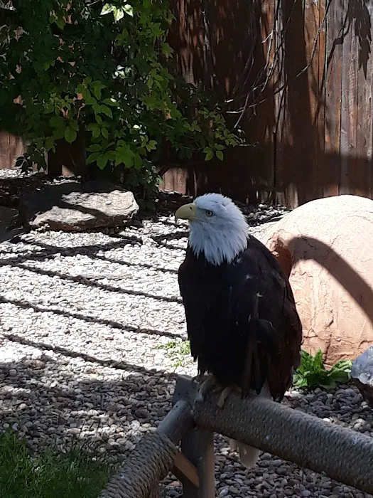 Happy Holiday RV Resort Picture 7