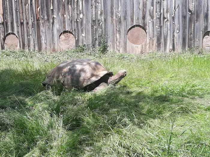 Happy Holiday RV Resort Picture 8