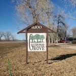 Cottonwood Grove