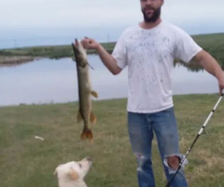 Ponderosa Mobile Home Park