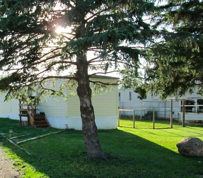 Cimarron Park Picture 6