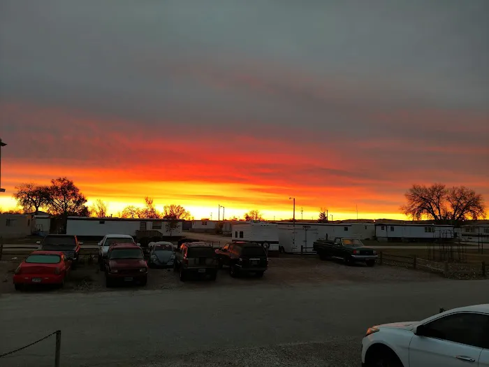 Whispering Willows Picture 1