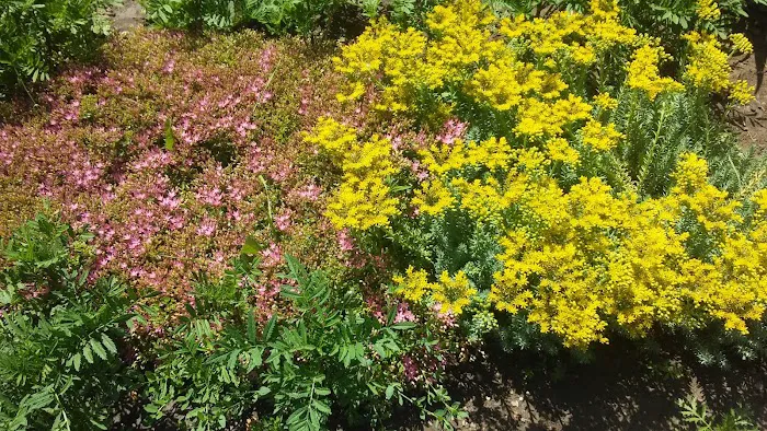 Valley Village Picture 6