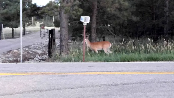 Heritage Mobile Homes Park Picture 2