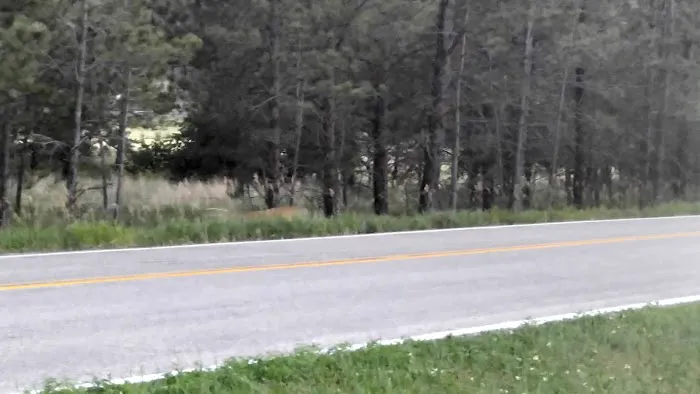 Heritage Mobile Homes Park Picture 3