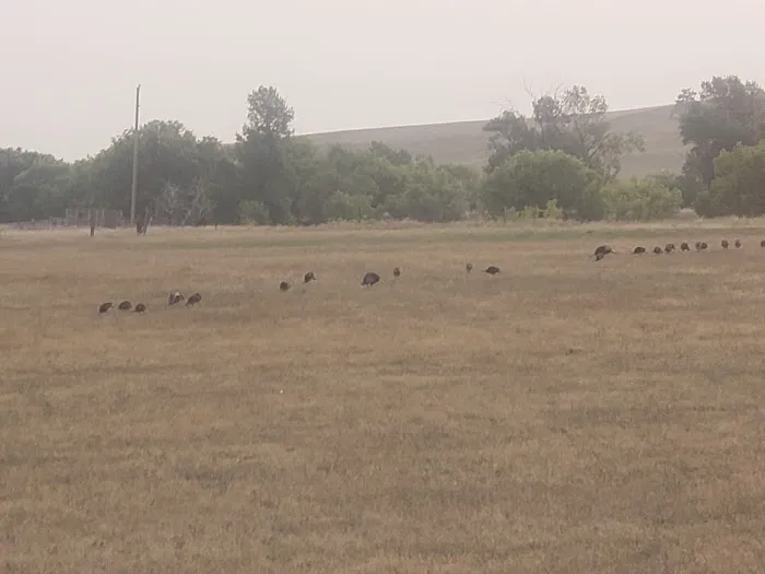 Lazy JD RV Park Picture 8