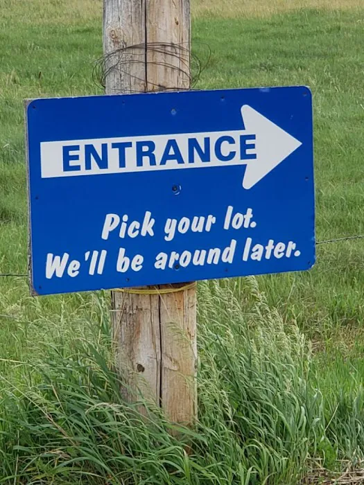 Lazy JD RV Park Picture 5