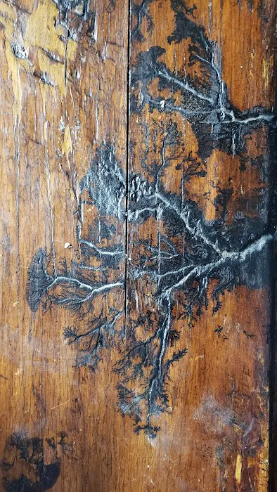 Teton RV park Picture 8