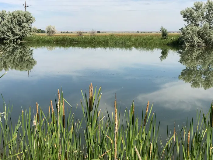 The Lodge at Western Wings, RV Park Picture 2