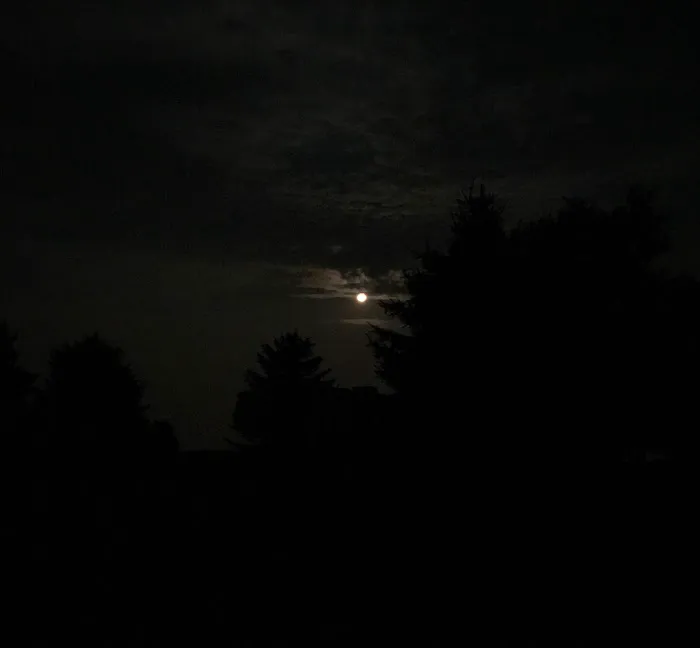 The Lodge at Western Wings, RV Park Picture 4