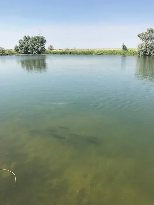 The Lodge at Western Wings, RV Park Picture 7