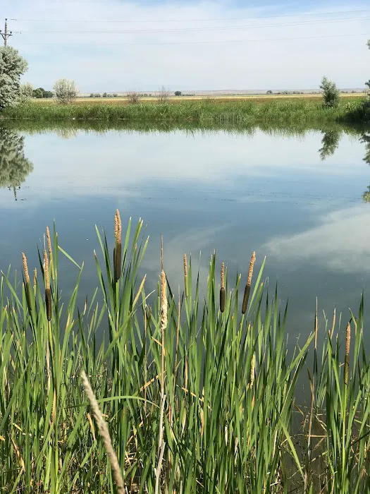 The Lodge at Western Wings, RV Park Picture 9