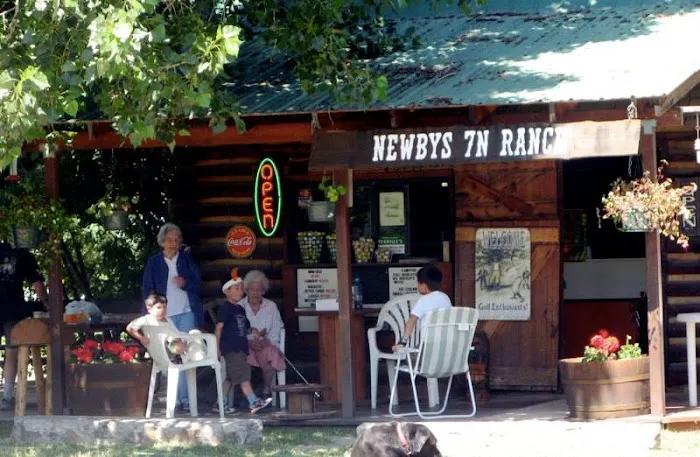 7N Ranch Resort Picture 3