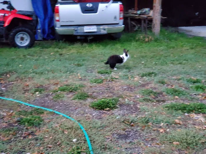 Wind Willows RV Picture 4