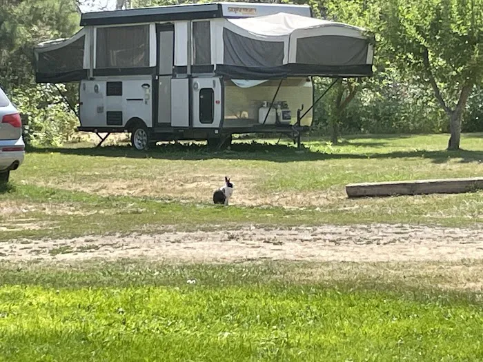 Wind Willows RV Picture 2