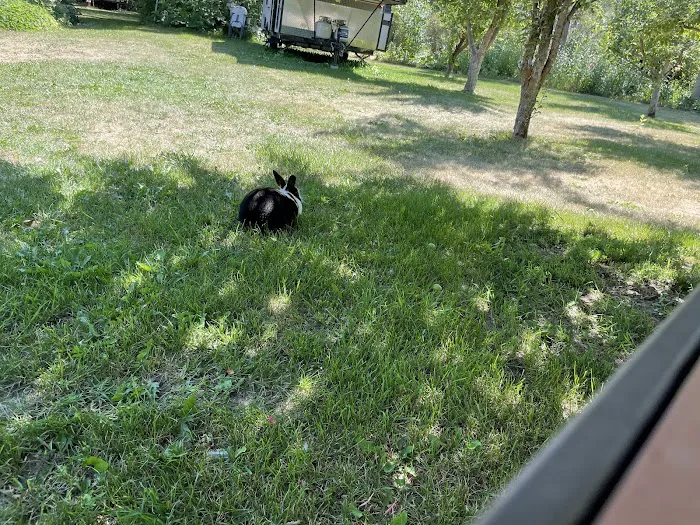 Wind Willows RV Picture 7