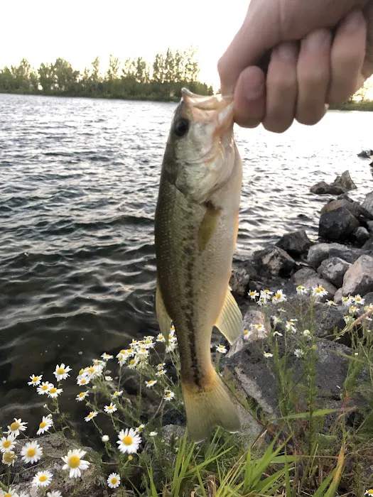 Wakeside Lake RV Park Picture 8