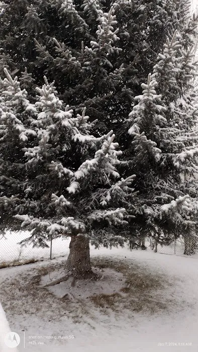 Mill Hollow Community Picture 1