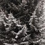 Mill Hollow Community