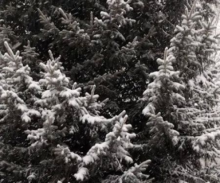 Mill Hollow Community