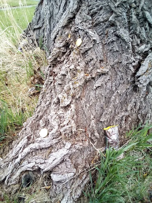 Mill Hollow Community Picture 3