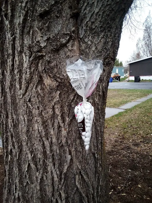 Mill Hollow Community Picture 10