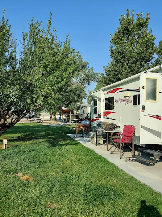 Sand Hills RV Resort Picture 2