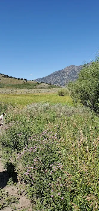 Bill Frome Memorial County RV Park Picture 5