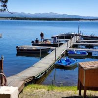 Madison Arm Resort ico