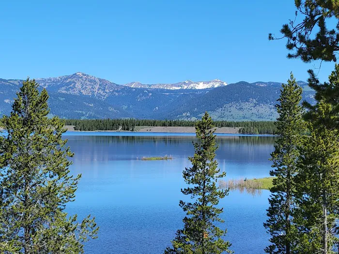 Madison Arm Resort Picture 6