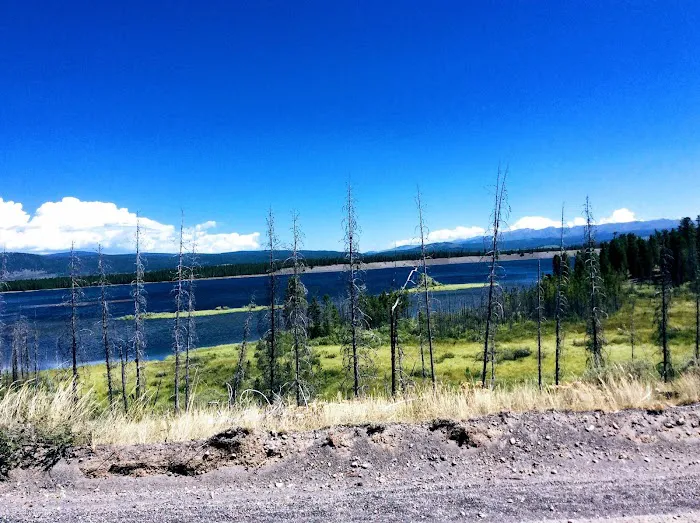 Madison Arm Resort Picture 8