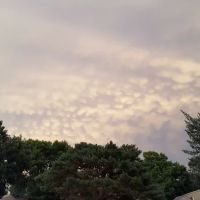 Pine Meadow Mobile Home Park ico