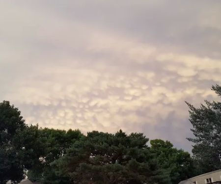 Pine Meadow Mobile Home Park