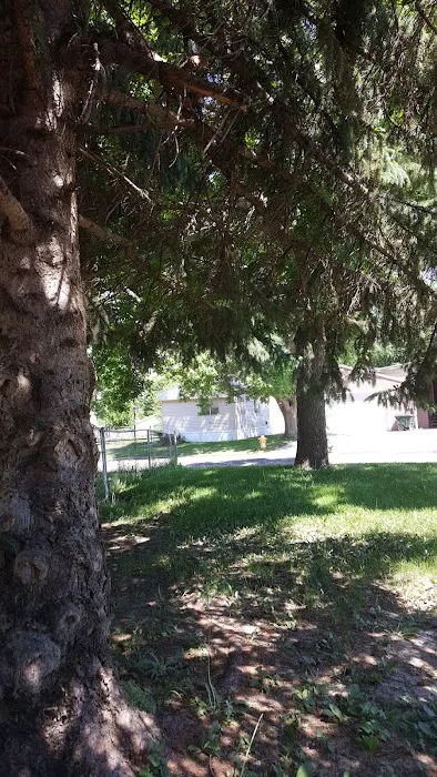 Pine Meadow Mobile Home Park Picture 6