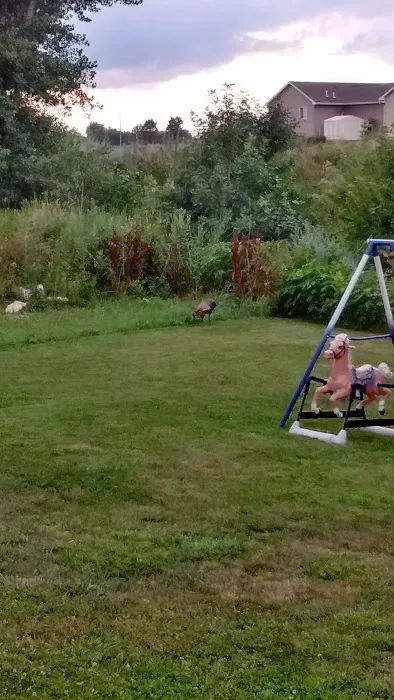 Pine Meadow Mobile Home Park Picture 5