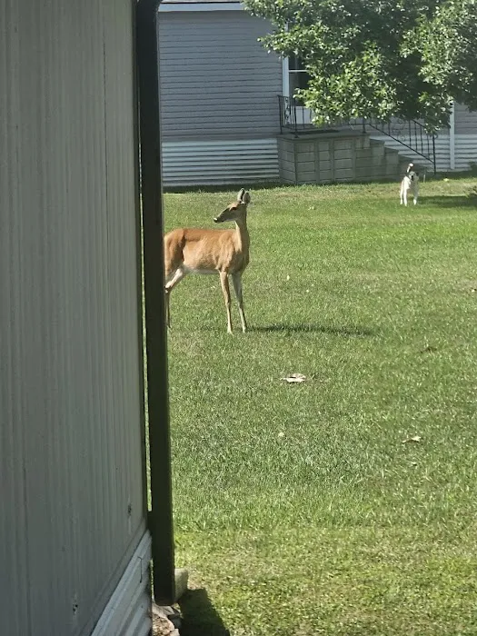 Misty Glen Mobile Home Park Picture 3