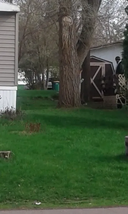 Cactus Hills Country Homes Picture 6