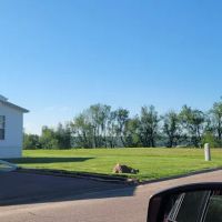 Highland Heights Mobile Home Community ico